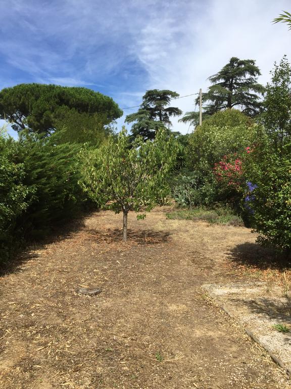 Joli Appartement T3 Proche Mer Avec Jardin Saint-Cyr-sur-Mer Exterior foto